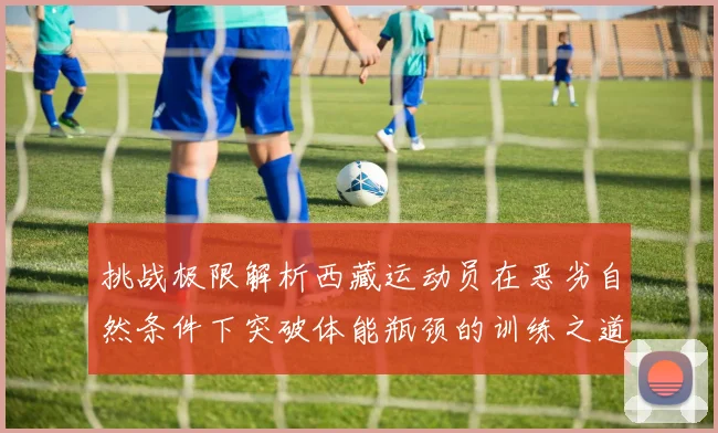 挑战极限解析西藏运动员在恶劣自然条件下突破体能瓶颈的训练之道