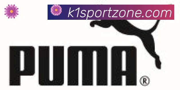K1体育合作伙伴